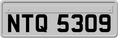 NTQ5309