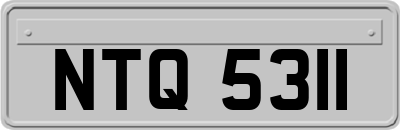 NTQ5311
