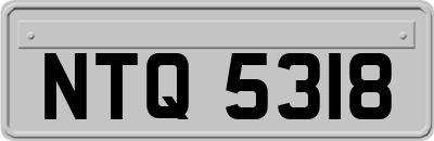 NTQ5318