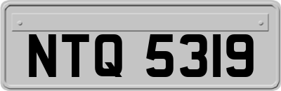 NTQ5319
