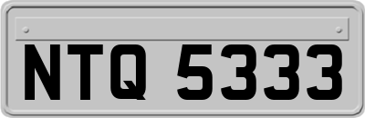 NTQ5333