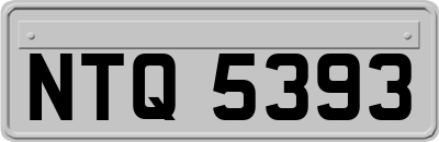 NTQ5393