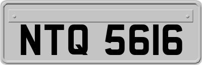 NTQ5616