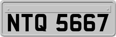 NTQ5667
