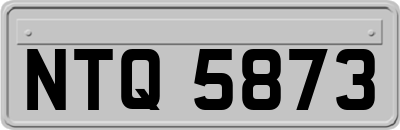 NTQ5873