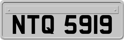 NTQ5919