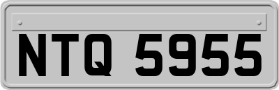 NTQ5955