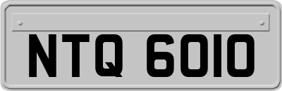 NTQ6010