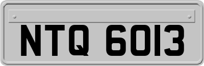 NTQ6013
