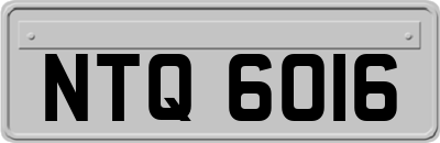 NTQ6016