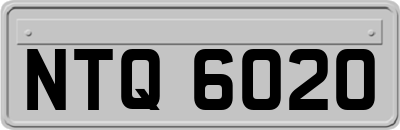 NTQ6020