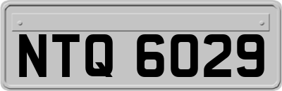 NTQ6029