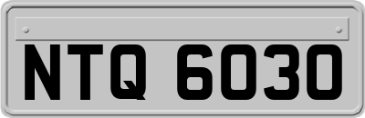NTQ6030