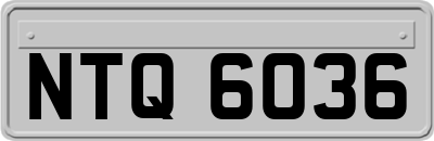 NTQ6036