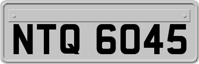 NTQ6045