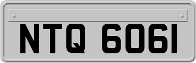NTQ6061