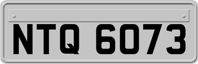 NTQ6073