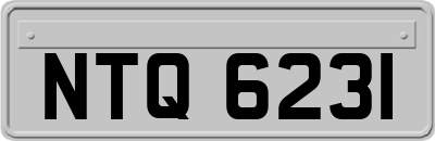 NTQ6231