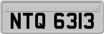 NTQ6313