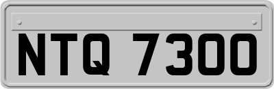 NTQ7300
