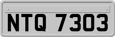 NTQ7303