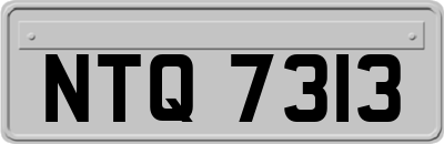 NTQ7313