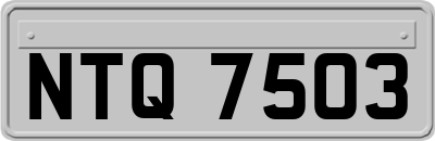 NTQ7503