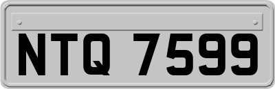 NTQ7599