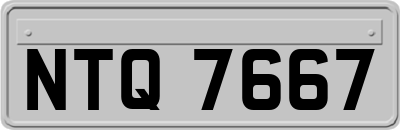 NTQ7667