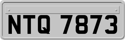 NTQ7873