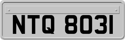 NTQ8031
