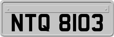NTQ8103