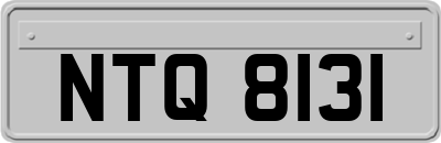 NTQ8131