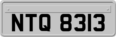NTQ8313