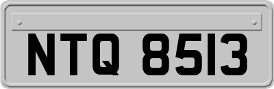 NTQ8513
