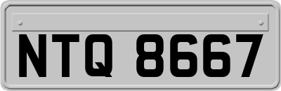 NTQ8667