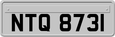 NTQ8731