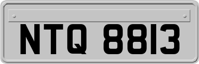 NTQ8813