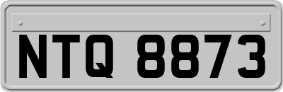 NTQ8873