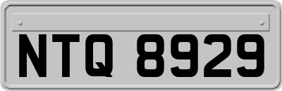 NTQ8929
