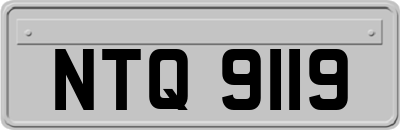 NTQ9119
