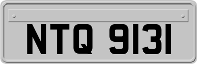 NTQ9131
