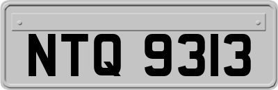 NTQ9313