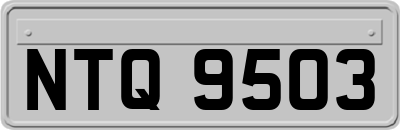 NTQ9503