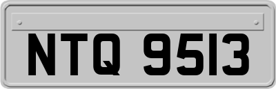 NTQ9513