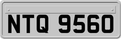 NTQ9560
