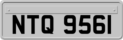 NTQ9561