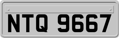 NTQ9667