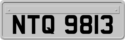 NTQ9813