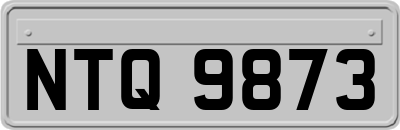 NTQ9873